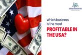 business is most profitable in USA