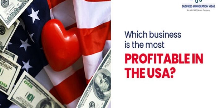 business is most profitable in USA