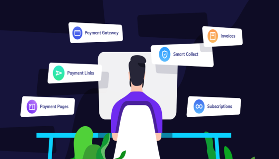 Payment Gateway or Both